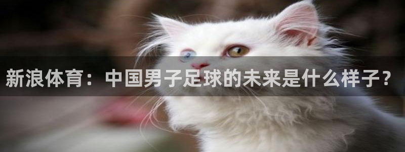 cba直播吧极速体育：新浪体育：中国男子足球的未来是什么样子？