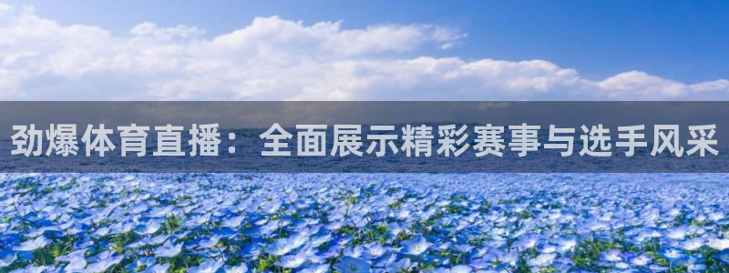 极速体育nba在线：劲爆体育直播：全面展示精彩赛事与选手风采