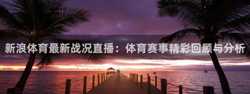 极速体育低调无插件直播：新浪体育最新战况直播：体育赛事精彩回顾与分析