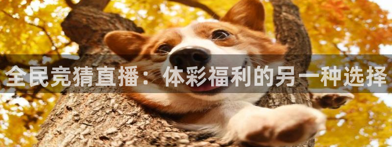nba免费直播 极速体育：全民竞猜直播：体彩福利的另一种选择