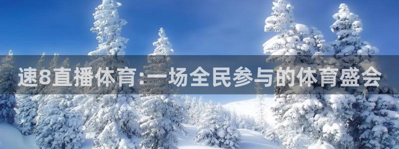 极速篮球体育直播：速8直播体育:一场全民参与的体育盛会