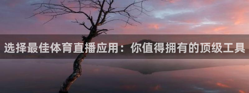 极速体育nba 直播