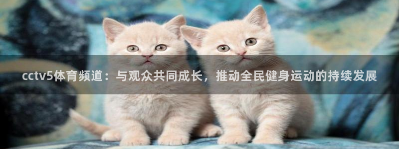 极速nba体育直播免费观看